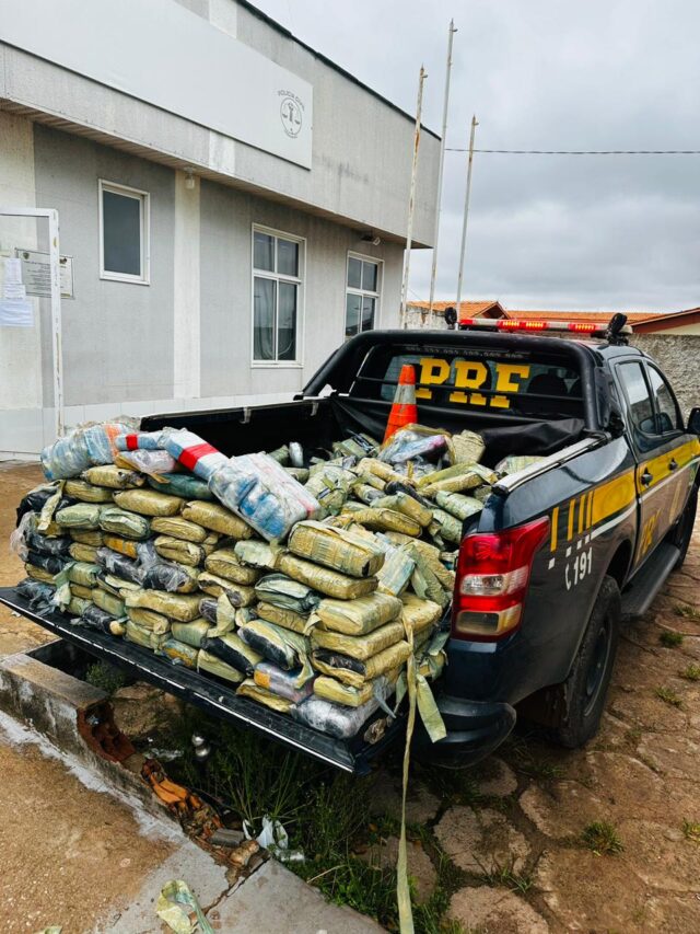 Droga apreendida pela PRF