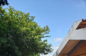 IFMA prorroga inscrições para vagas que não precisam de seletivo em Imperatriz IFMA, campus de Imperatriz