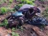 Idoso morre e mais pessoas ficam feridas em acidente na BR-010 Carro envolvido no acidente na BR-010, em Estreito