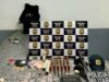 Bandidos morrem em confronto com a polícia no Maranhão Produtos apreendidos durante a operação