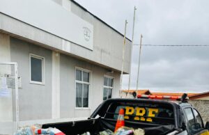 Droga apreendida pela PRF