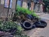 Maranhão tem primeiro caso de morte por dengue confirmado em 2024 Combater locais que podem ser criadouros do mosquito é prioridade