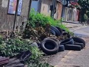 Maranhão tem primeiro caso de morte por dengue confirmado em 2024 Combater locais que podem ser criadouros do mosquito é prioridade