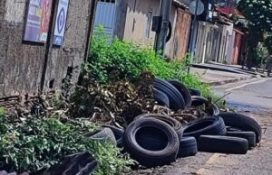 Maranhão tem primeiro caso de morte por dengue confirmado em 2024 Combater locais que podem ser criadouros do mosquito é prioridade