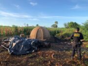 Polícia Federal faz prisões de madeireiros por extração ilegal em terras indígenas no Maranhão