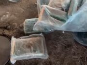 Polícia Civil destrói drogas apreendidas em Imperatriz e na região