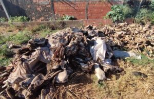 Operação Ossos do Ofício desarticula fábricas clandestinas em Imperatriz e Região Tocantina