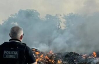 Decreto proíbe queimadas em todo o território do Maranhão