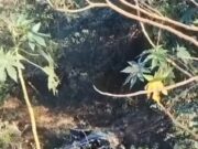 Moradores de Imperatriz morrem em graves acidentes de trânsito na região