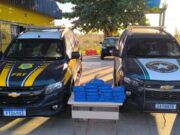 PRF e Receita Federal apreendem mais de 20kg de super maconha na BR-010 em Imperatriz