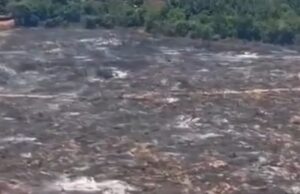 Incêndio de grandes proporções ameaça destruir comunidade rural no sul do Maranhão