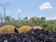 Trabalhadores são resgatados em situação análoga à escravidão no Maranhão
